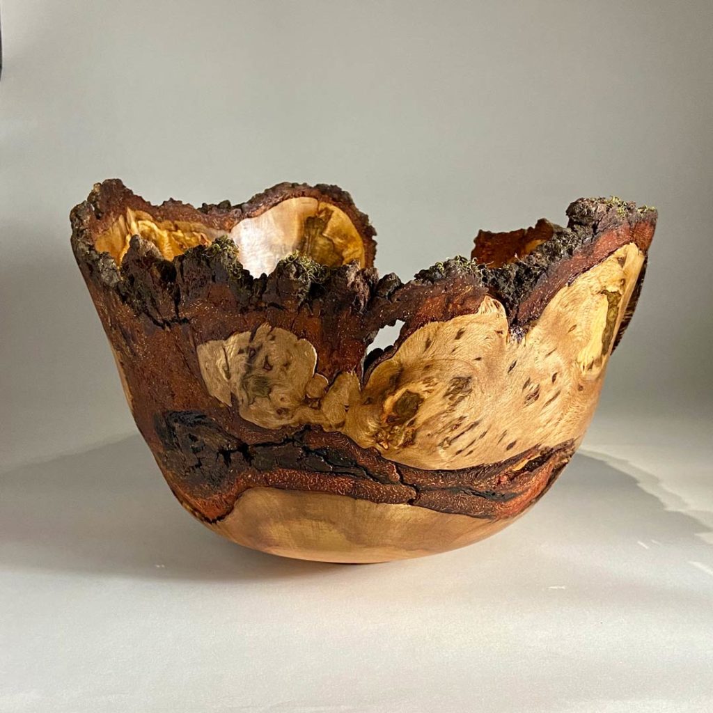 6Alder-burl-opt