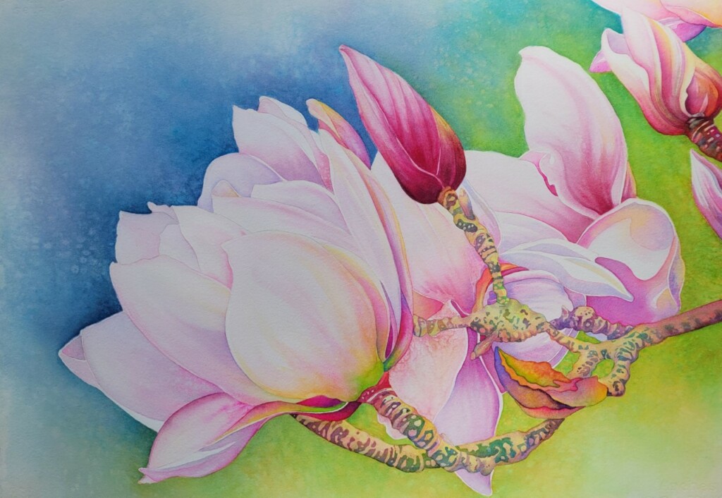 Magnolia Blossoms I