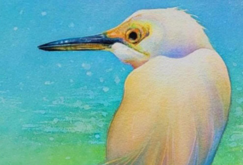 Celebrating Birds! Watercolor Workshop
