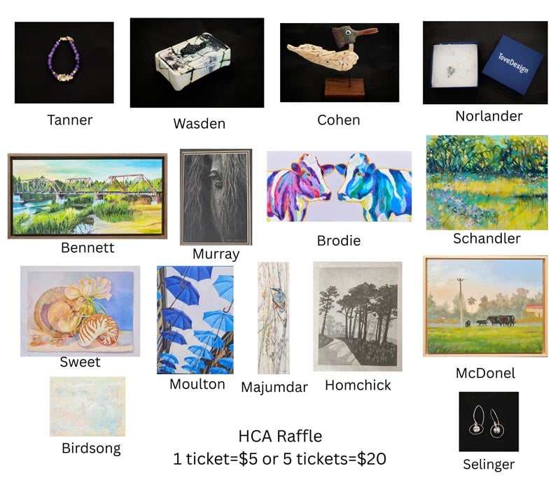 2026-Raffle-overview