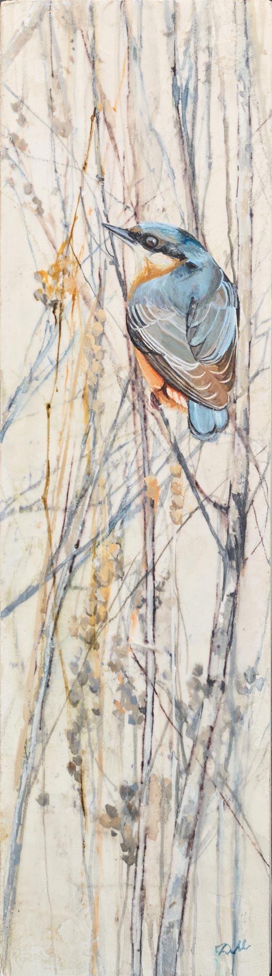 Little Nuthatch Little Nuthatch by Diana Majumdar